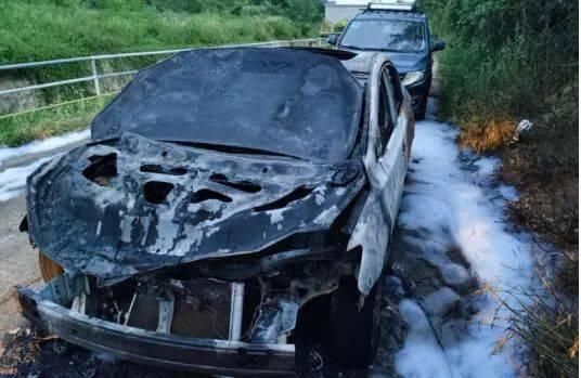  车辆后部|10个小时，破案！