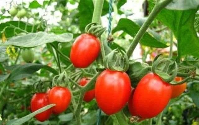  缺水|夏天温度高：常吃补水水果，改善肌肤缺水，皮肤水嫩嫩！