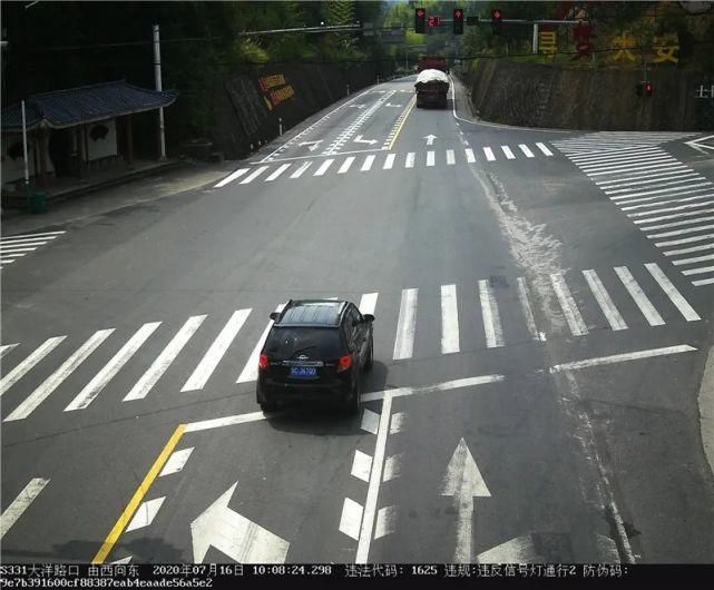 驾驶机动车违反道路|泰顺这些车主被曝光！