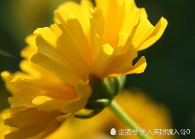  财源滚滚|七月开始：财源滚滚来，事业顺财运旺，事业顺遂的生肖