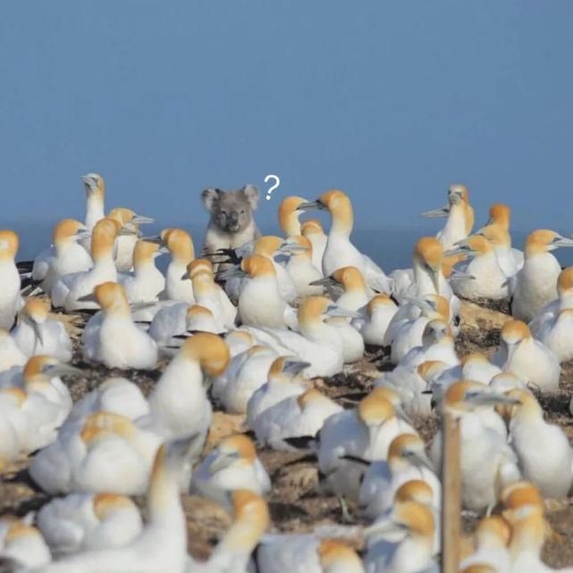  習慣|背景 | “放不下的只是習慣”