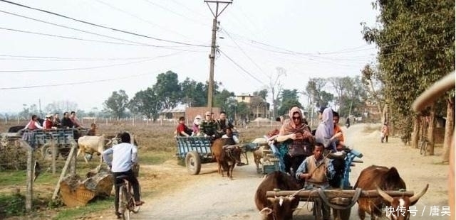 牛车|世界上唯一没有红绿灯的国家,女人开放到你难以想象,出行靠牛车