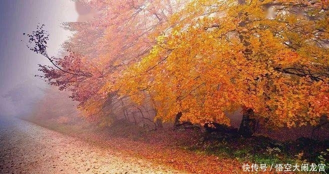 心生|曾国藩:相由心生,你的脸就是你的命