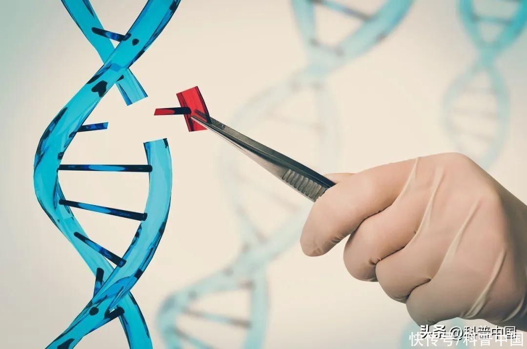 中国科学家最新研究成果(中国科学家研究新成果！200万人或迎新生！)