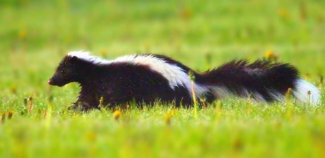  孟佳|孟佳5G冲浪：喊郁可唯“鹿晗”，还吐槽她的发型像关公