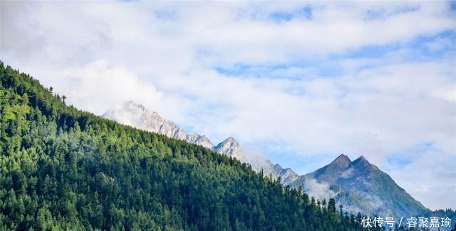 依旧没|落叶知秋来,思念随风走(深度好句)
