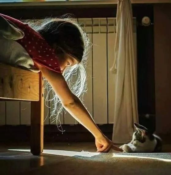  些人就|为什么有些人毫不费力、就特别讨人喜欢，和所有人都能打成一片？