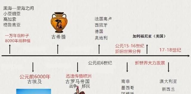  没吃到|狐狸没吃到的那颗葡萄，串起了几个世纪的夏天