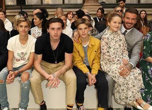  疼爱|小七又胖了，肚子鼓起太可爱小贝快抱不动了，多一个嫂子疼爱