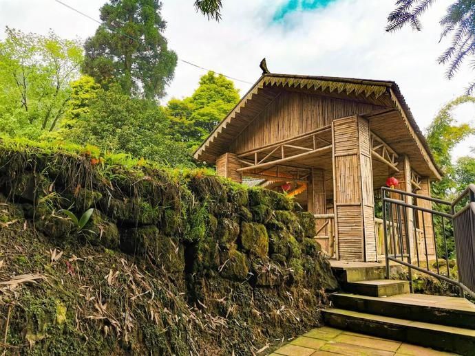  张家沟|阅读雨城丨寻茶张家沟
