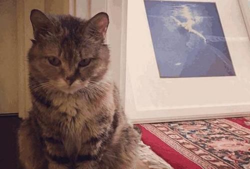  装饰|带你看看尼格买提的家，装修布置真是简单，完全不像央视主持人