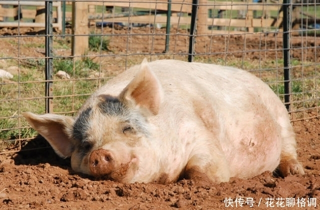 穿着|妹子,穿着裙子,就不要把脚翘在桌子上了,影响多不好啊!