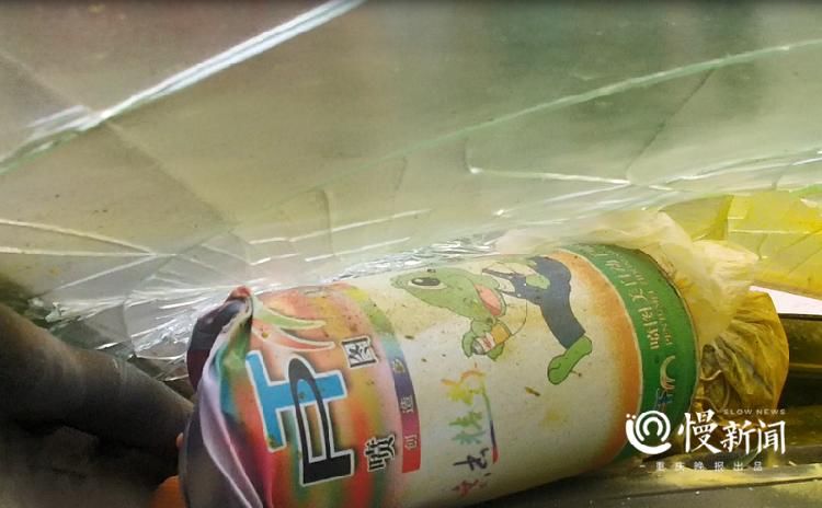  涂鸦|面包车挡风玻璃碎裂、被涂鸦，罪魁祸首就是它！司机朋友们千万要注意