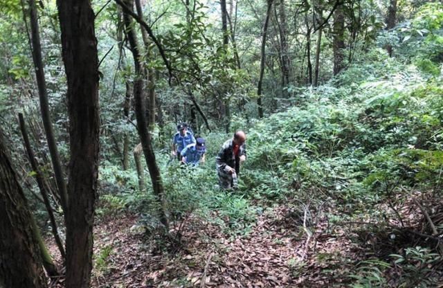  困人员|就在今晚！1名驴友被困东洲深山！16名救援人员柴刀开路！5小时生死救援