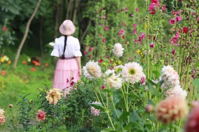  李子|她用3年时间爆改老宅，把荒地变花海：原来除了李子柒，我们还有另一种田园牧歌