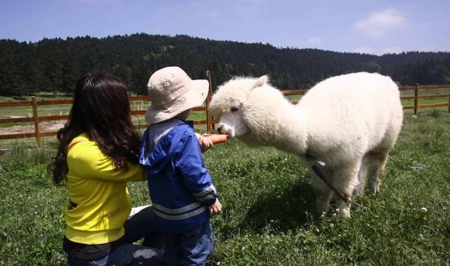 小朋友|熊孩子扯断别人项链,得知价格不菲!宝妈:我只赔五百块钱