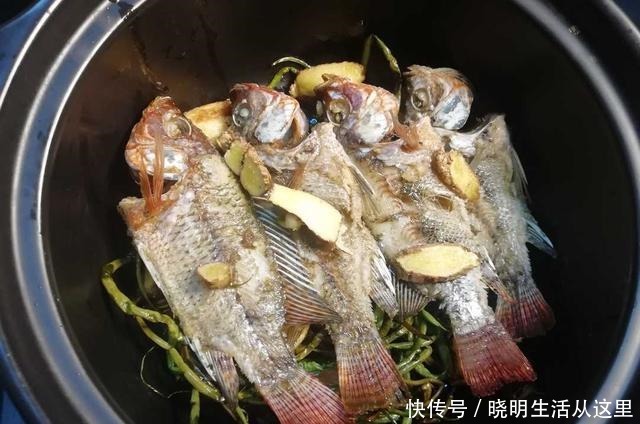 糖醋|土鲫鱼最好吃的方法,糖醋葱烧,连骨酥,开胃健脾