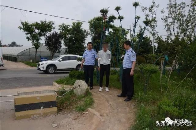  擒获|大荔公安严密布网擒获飞贼