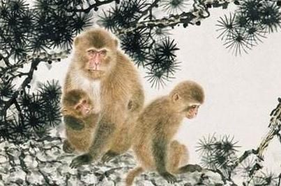 长乐|一家有这三大生肖，长寿长乐，家财不出门，三代能富贵