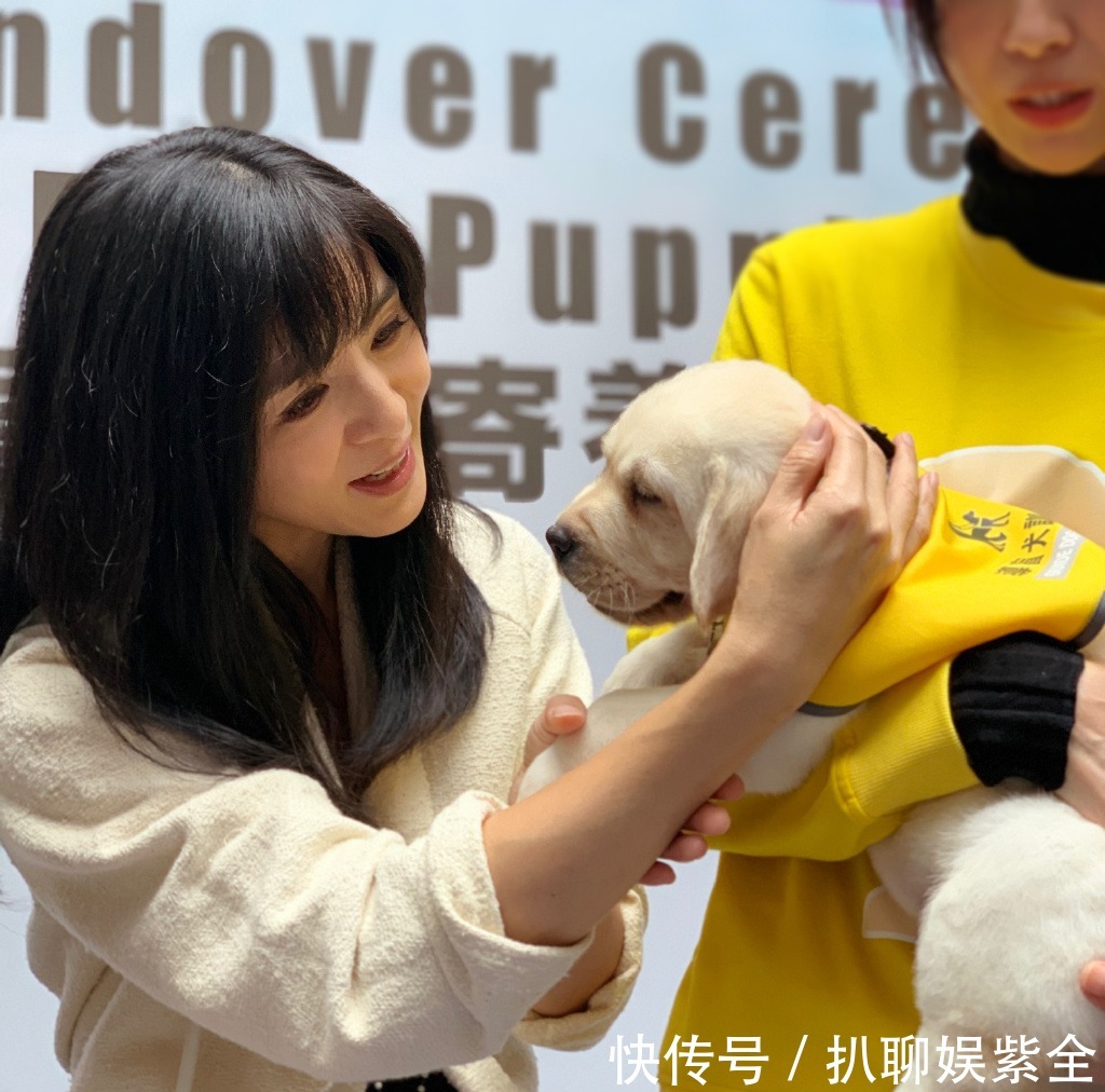  迟暮|美人不迟暮！杨采妮的图集