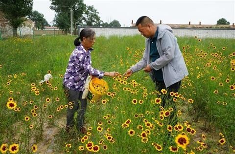  大地|丰川大地果实累累迎丰收