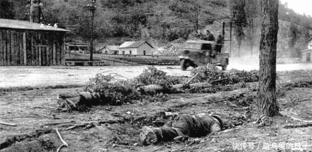 照片拍摄于二战东线|二战战场到底有多残酷？看看这些真实的老照片，战争之下满目离殇