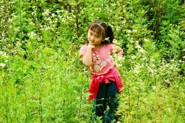 花海|你去过了吗？朝天李家这片白色花海又成网红，宛如一幅美丽画卷！