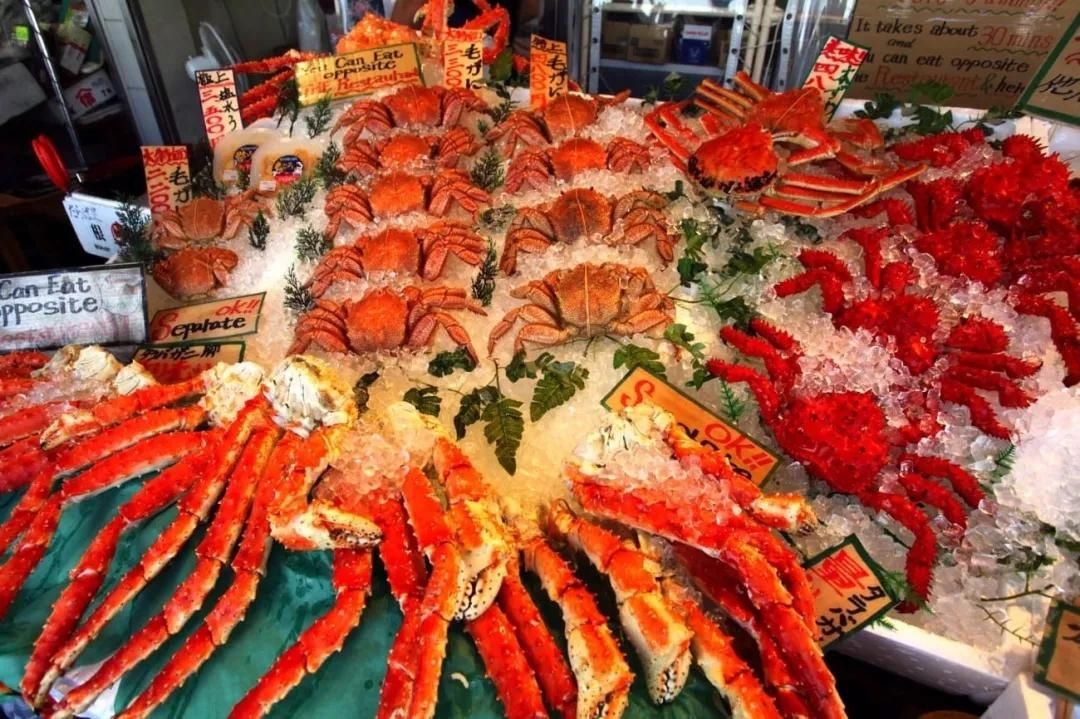 螃蟹|去日本哪里能吃上最好的日本蟹?