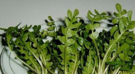  健康|聪明人秋天爱吃的4种食物，淡化皱纹，美白护肤，爱吃就赚了！