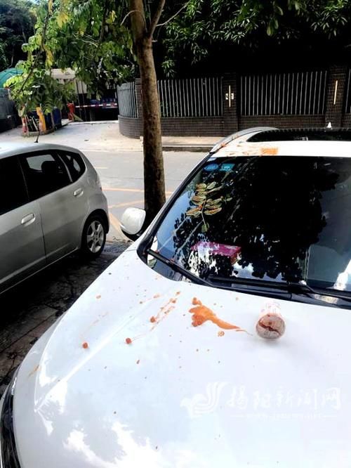  小区|小区“空降”食物，砸中路边汽车