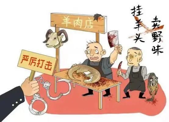 告人赖某|利益熏心经营“特殊野味”,这名餐馆老板获刑2年10个月!