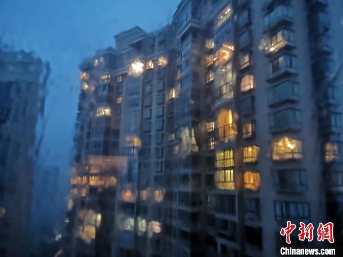 应急管理局|“黑格比”直击浙江沿海：风雨袭窗 树木连根拔起