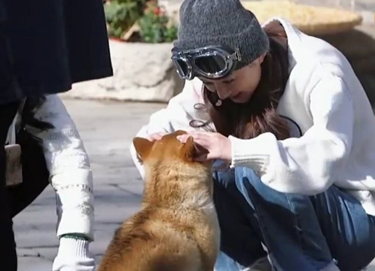  农村|《中餐厅》赵丽颖又翻车了？农村出身却被狗追着跑，网友称其太假