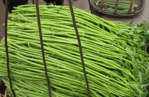  有钱|空心菜有4个品种，只有它是所有通菜中的“爱马仕”，有钱也难买