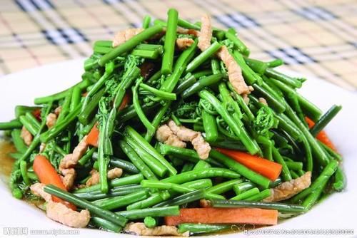  药材|农村的野菜，吃法很多，却不知是药材，营养价值很高