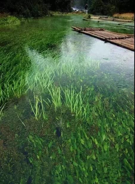  导价的A级|请收下，这是一份很长很全很美的暑期游云南攻略