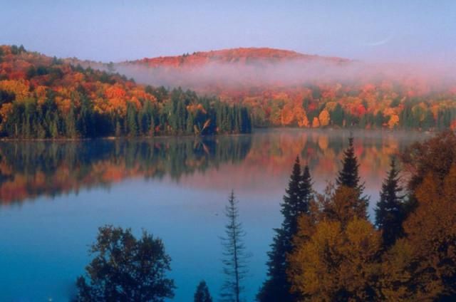  秋景|这一组迷人秋景，美爆了朋友圈！