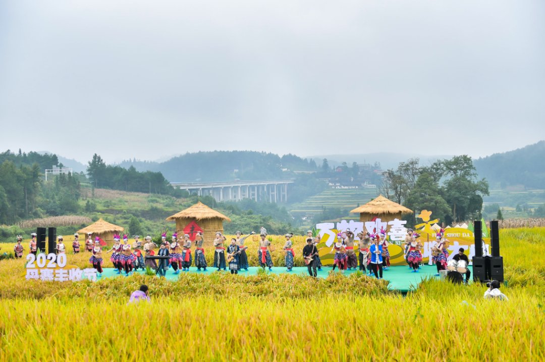 声音|假如丰收有声音，一定是这样婶儿的