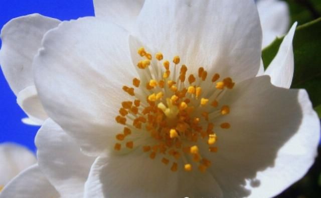  九月|九月中旬开始，财富数不清，财星入命，财运升温的生肖