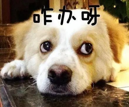 吃闭门羹|东莞女子转错账对方不肯还,警方想尽办法却吃闭门羹,最后...