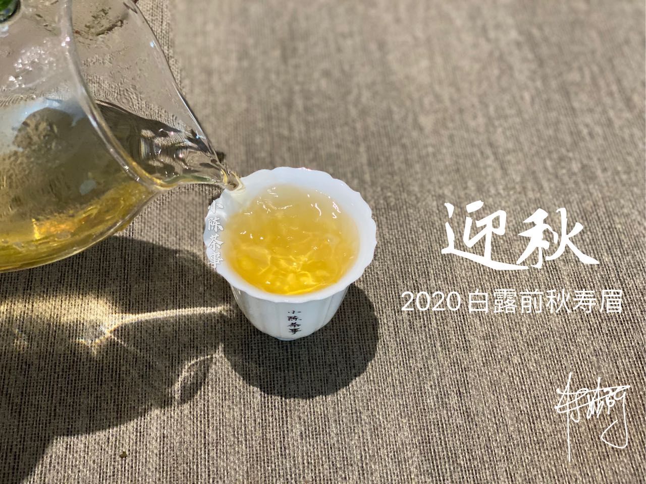 买秋白|买秋白茶总是踩坑,怎么办?别灰心,避开这三大误区,秋茶喝起来