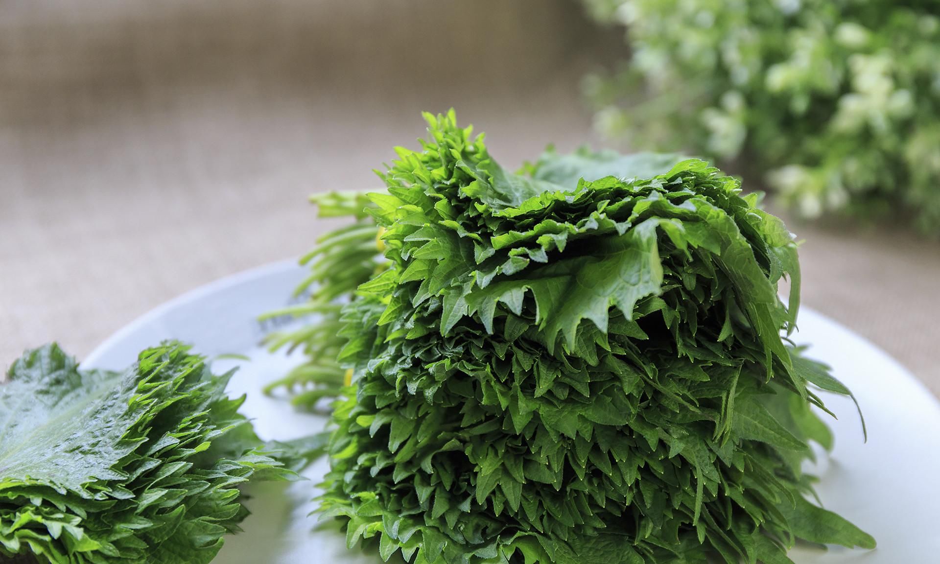  隔夜|剩饭剩菜到底能不能吃？5种食物，天放过夜后不建议吃