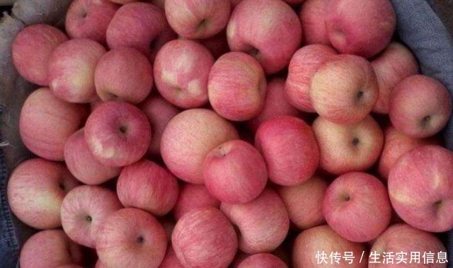 储藏|采摘后的苹果怎样储藏学会这4点,天天吃鲜苹果!