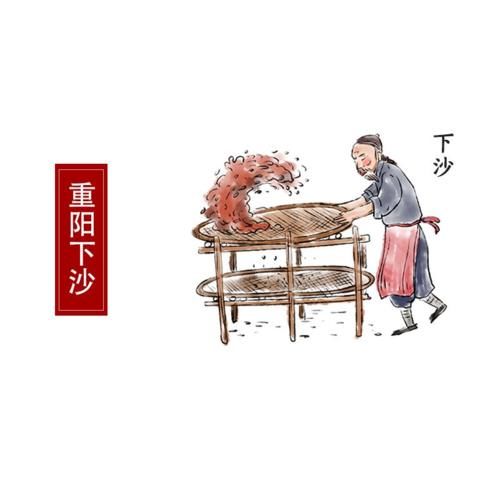 酱香|再过几天就是重阳佳节了，至此酱香酒第一次投料—下沙流程完成，所以称之为下沙