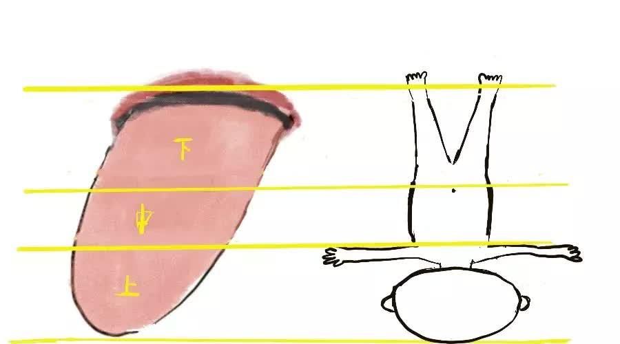  变化|身体健康情况怎么样？可以从舌头进行窥探