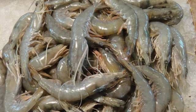 今日|今日开海!这84种海鲜,你都认识吗?你真的会吃海鲜吗?