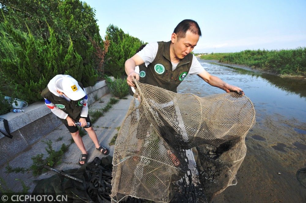 愿者在入海|山东青岛：“护飞清网”守护候鸟家园