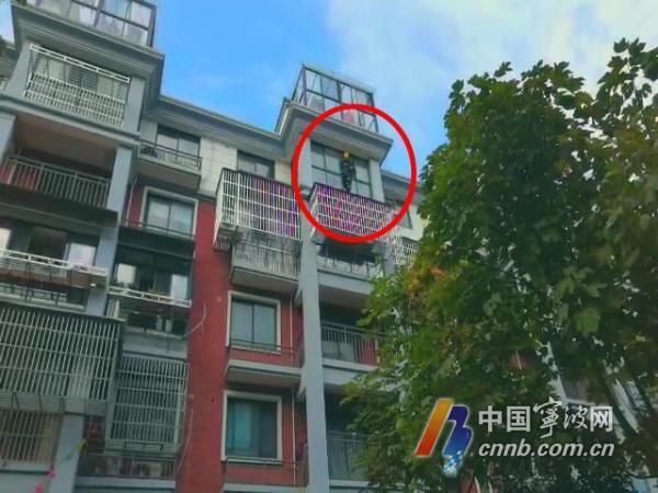 下不来|树上下不来、爬出窗外、车内被困…这3起出警都与孩子有关