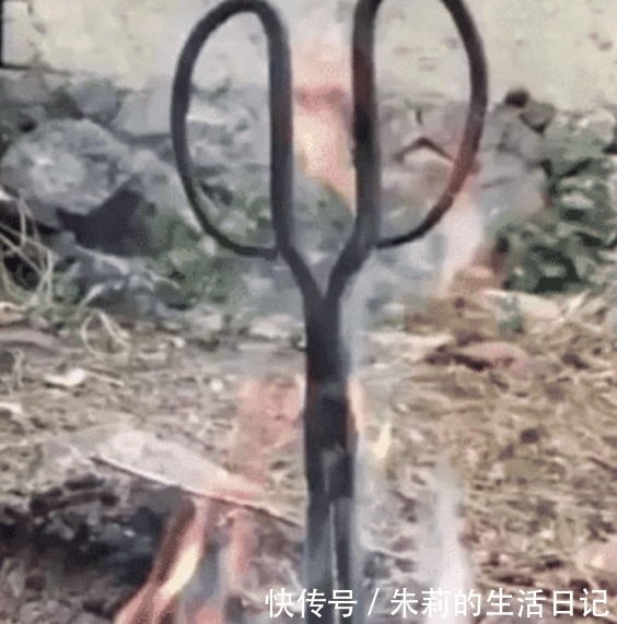 沙雕|“网购魔鬼辣椒，被辣成了乡巴佬卤蛋？”哈哈哈哈哈这也太沙雕了～