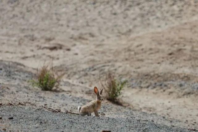  实践|【国庆线下实践5】重走丝绸之路,西藏边疆经济发展调研